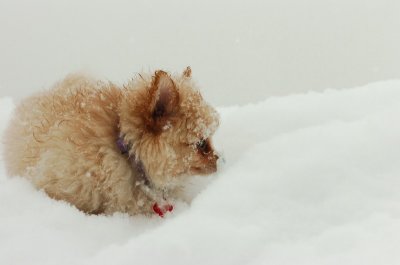 Feb26_07_617.JPG