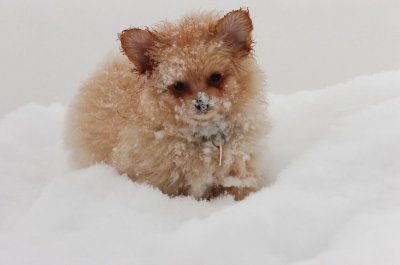Feb26_07_618.JPG