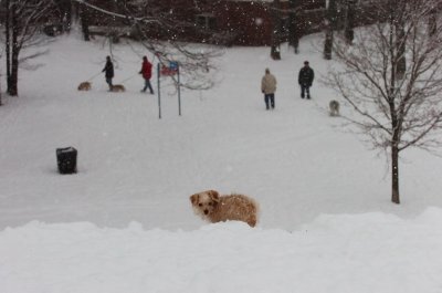 Feb26_07_619.JPG