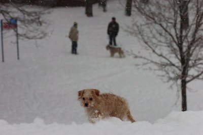 Feb26_07_621.JPG