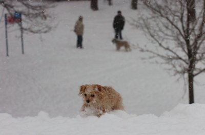 Feb26_07_622.JPG
