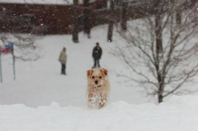 Feb26_07_623.JPG