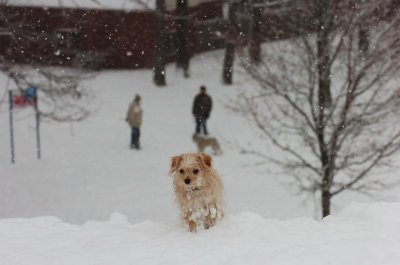 Feb26_07_624.JPG