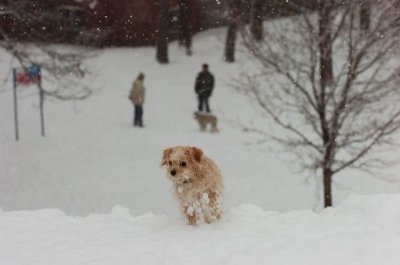 Feb26_07_625.JPG