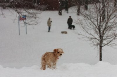Feb26_07_626.JPG