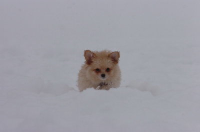 Feb26_07_515.JPG