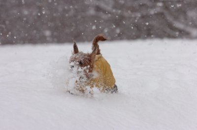 Feb26_07_066.JPG