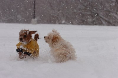Feb26_07_098.JPG