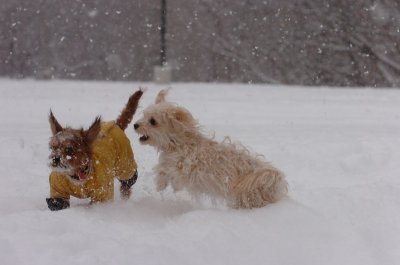 Feb26_07_099.JPG