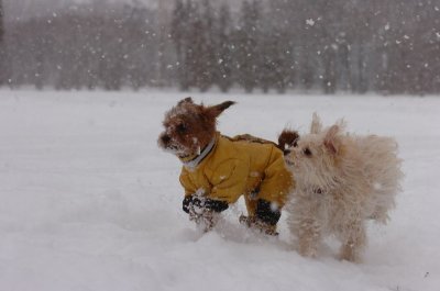 Feb26_07_101.JPG