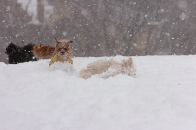 Feb26_07_103.JPG