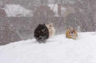 Feb26_07_105.JPG