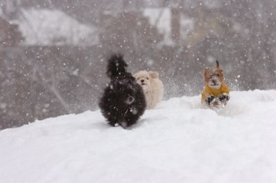 Feb26_07_106.JPG