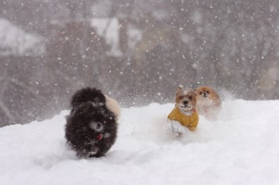 Feb26_07_108.JPG