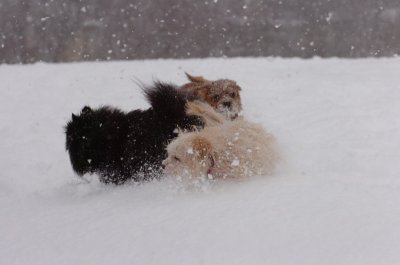 Feb26_07_114.JPG