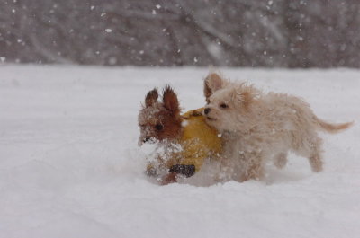 Feb26_07_117.JPG