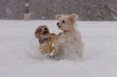 Feb26_07_120.JPG