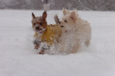 Feb26_07_121.JPG