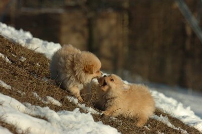 Feb28_07_201.JPG