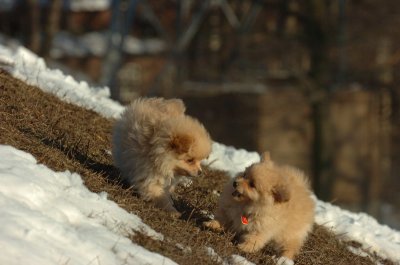 Feb28_07_206.JPG