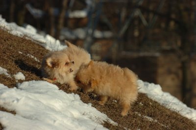 Feb28_07_209.JPG