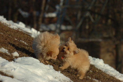Feb28_07_210.JPG