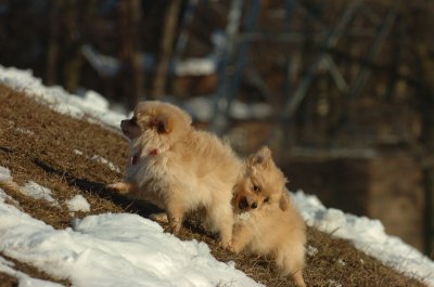 Feb28_07_211.JPG