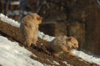 Feb28_07_212.JPG