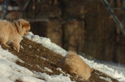 Feb28_07_213.JPG