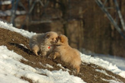 Feb28_07_214.JPG
