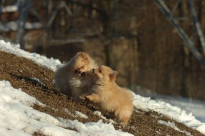 Feb28_07_215.JPG