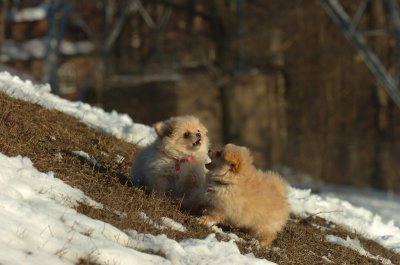 Feb28_07_216.JPG