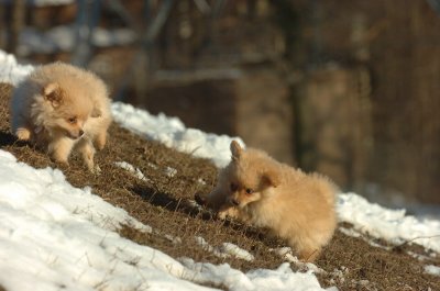 Feb28_07_219.JPG