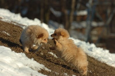 Feb28_07_220.JPG