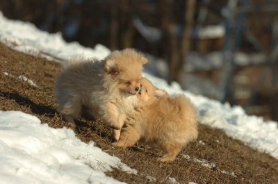 Feb28_07_221.JPG