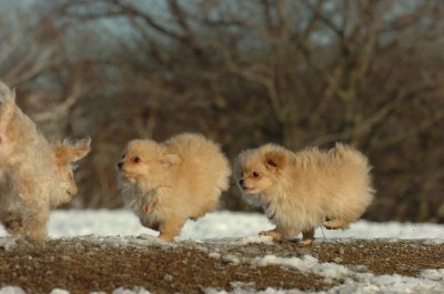 Feb28_07_222.JPG