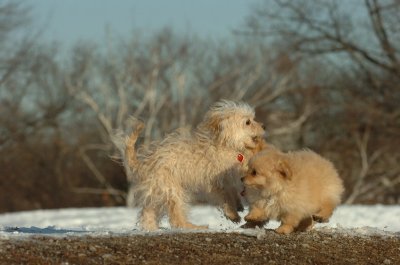 Feb28_07_223.JPG