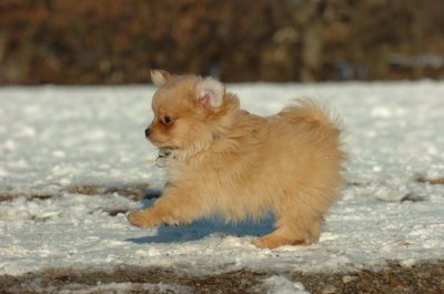 Feb28_07_224.JPG