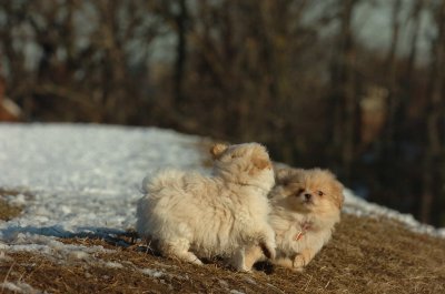 Feb28_07_226.JPG