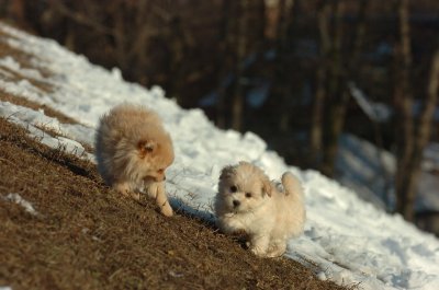 Feb28_07_229.JPG