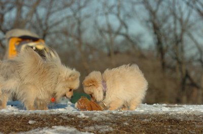Feb28_07_230.JPG