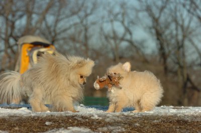 Feb28_07_231.JPG