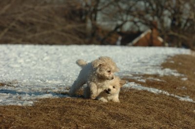 Feb28_07_232.JPG