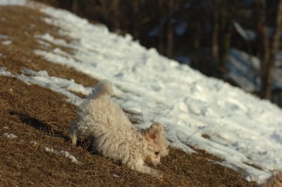 Feb28_07_234.JPG