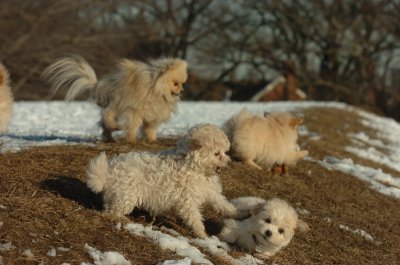 Feb28_07_237.JPG
