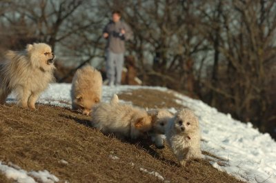 Feb28_07_239.JPG