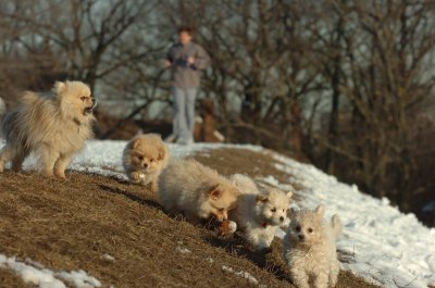 Feb28_07_240.JPG