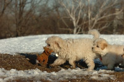 Feb28_07_245.JPG