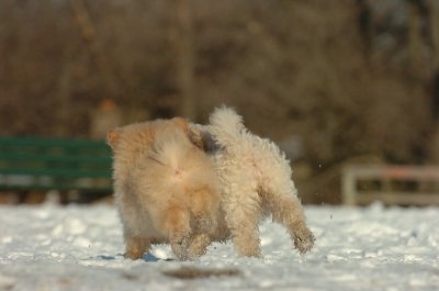 Feb28_07_247.JPG