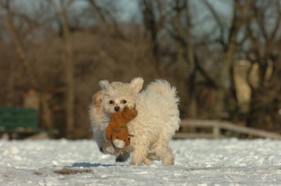Feb28_07_248.JPG